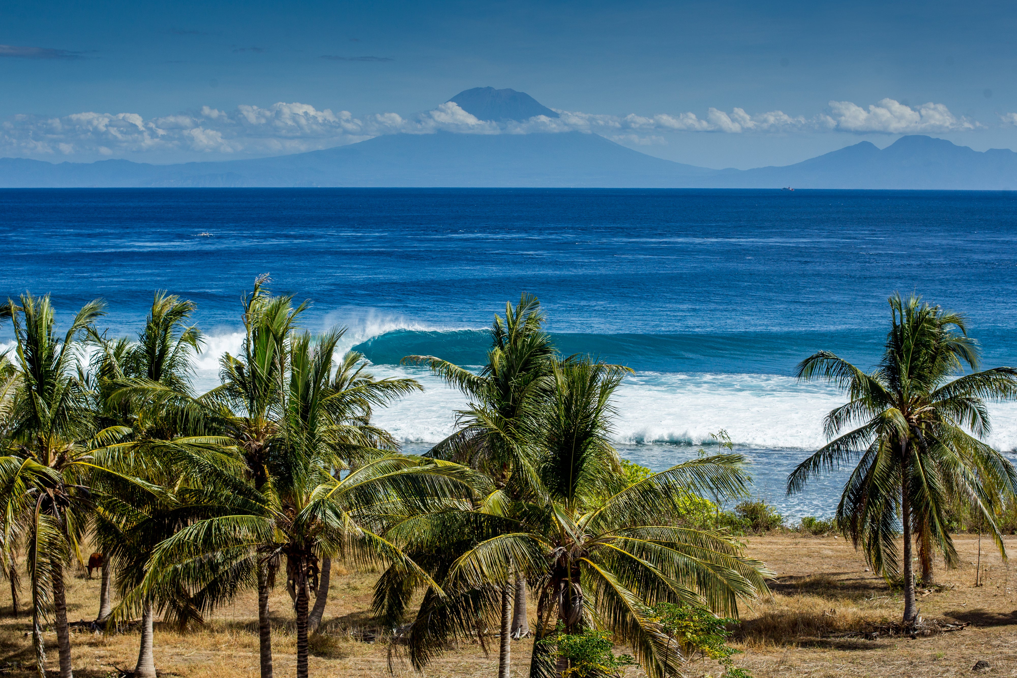 Jungle Surf Store | Bali | Indonesia