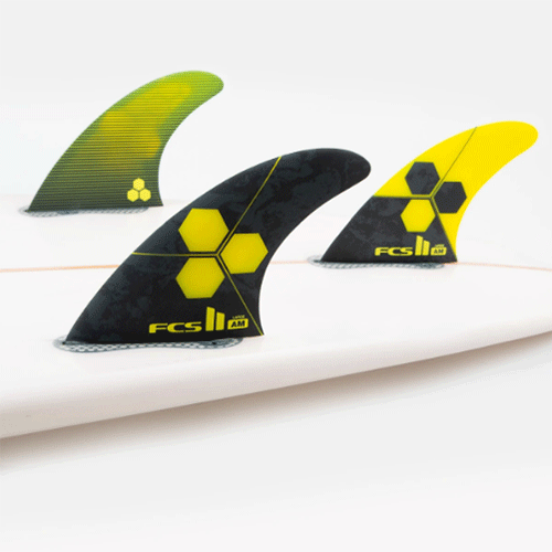 Fcs am2 fins top